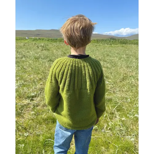 PetiteKnit Harald's Sweater (EN)