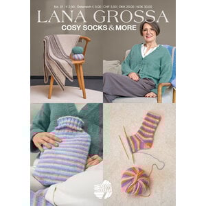 Lana Grossa Cosy Socks & More No.01