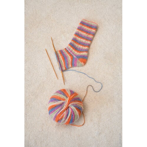 Lana Grossa Cosy Socks & More No.01