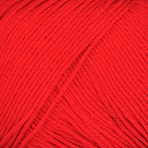 ONline Linie 559 Gala 009