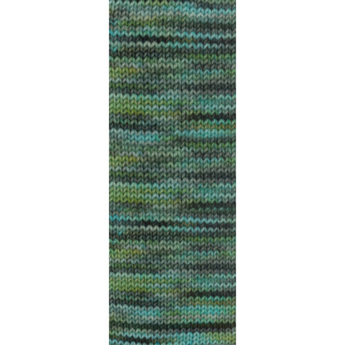 Lana Grossa Vintage Socks Multi 1057