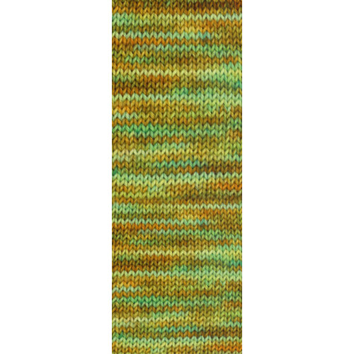 Lana Grossa Vintage Socks Multi 1054