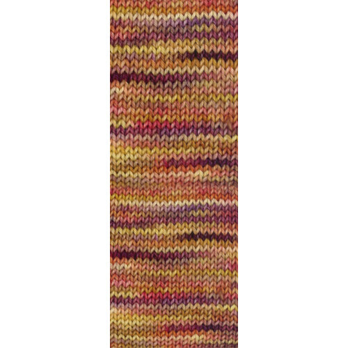 Lana Grossa Vintage Socks Multi 1053