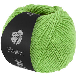 Lana Grossa Elastico 193