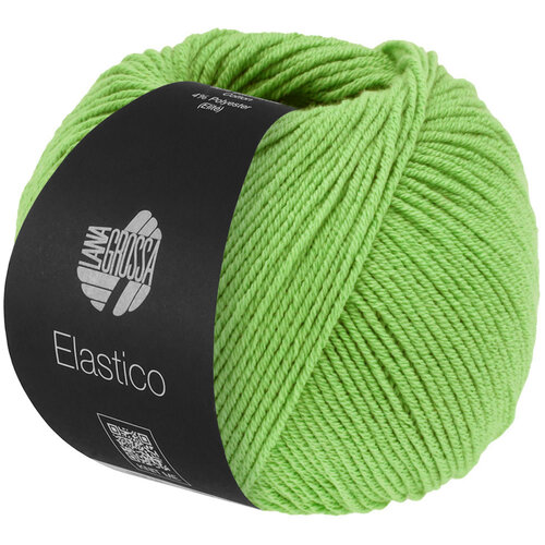 Lana Grossa Elastico 193