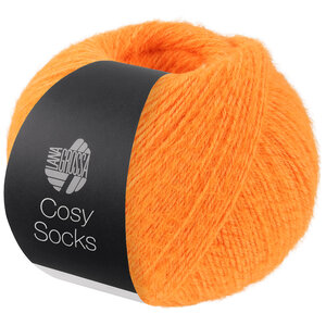 Lana Grossa Cosy Socks 020