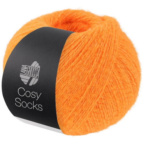 Lana Grossa Cosy Socks 020
