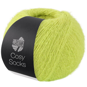 Lana Grossa Cosy Socks 024
