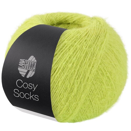 Lana Grossa Cosy Socks 024