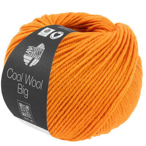 Lana Grossa Cool Wool Big  1041