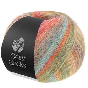 Lana Grossa Cosy Socks Dream 253 Lana Grossa Cosy Socks Dream 253