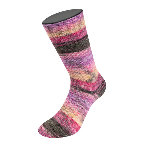 Lana Grossa Cosy Socks Dream 257
