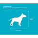 Lizzely Garden & Living Cage pour chien solide 77x52x57cm 2 portes Lizzely Garden & Living Cage pour chien solide 77x52x57cm 2 portes