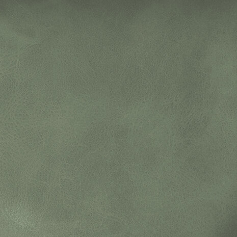 Lizzely Garden & Living Chaise de salle à manger Catoo vert foncé