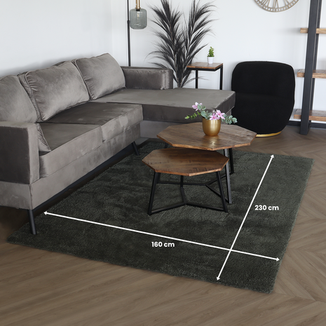 Lizzely Garden & Living Tapis 160x230cm vert Avelyn