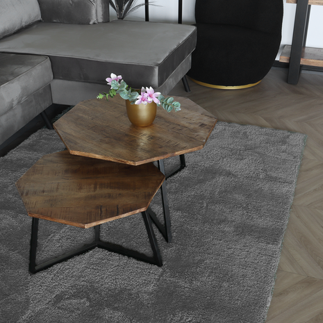 Lizzely Garden & Living Tapis 160x230cm gris à poils longs Darcio