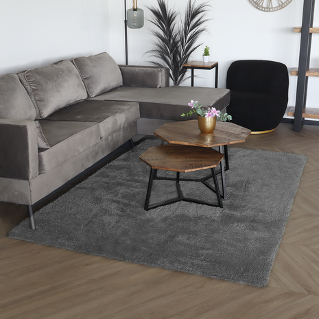 Lizzely Garden & Living Tapis 160x230cm gris à poils longs Darcio