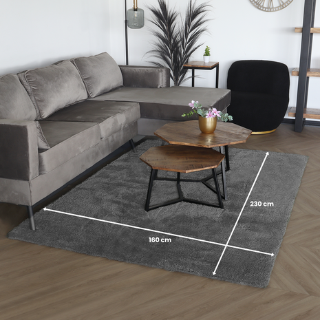 Lizzely Garden & Living Tapis 160x230cm gris à poils longs Darcio