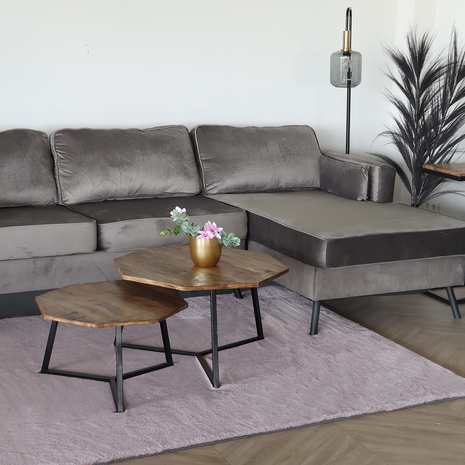 Lizzely Garden & Living Tapis 160x230cm rose à poils longs Liv moelleux Lizzely Garden & Living Tapis 160x230cm rose à poils longs Liv moelleux