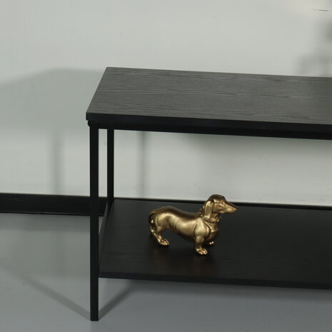 Lizzely Garden & Living Meuble TV Puck 100x36x45cm table d'appoint