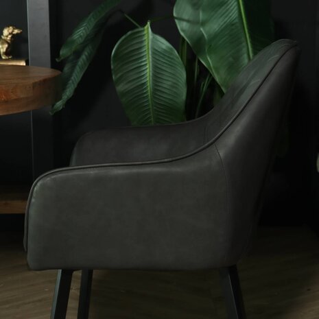 Lizzely Garden & Living Chaise de salle à manger avec accoudoirs Yurgan anthracite