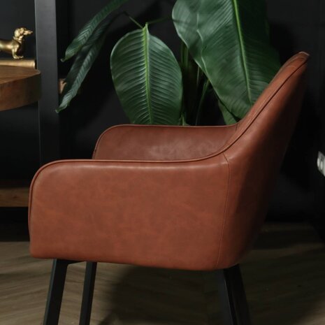 Lizzely Garden & Living Chaise de salle à manger avec accoudoirs Yurgan cognac Lizzely Garden & Living Chaise de salle à manger avec accoudoirs Yurgan cognac
