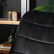 Lizzely Garden & Living Chaise de salle à manger industrielle en velours noir Lux Lizzely Garden & Living Chaise de salle à manger industrielle en velours noir Lux