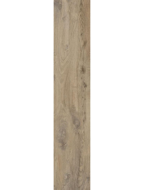 Nebraska Elm