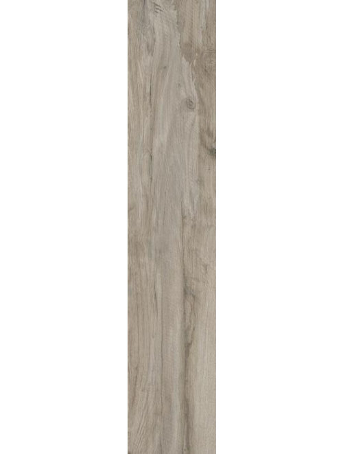 Nebraska Maple