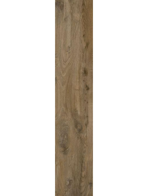 Nebraska Oak