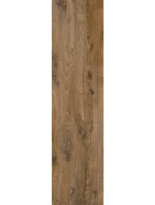 Nebraska Oak