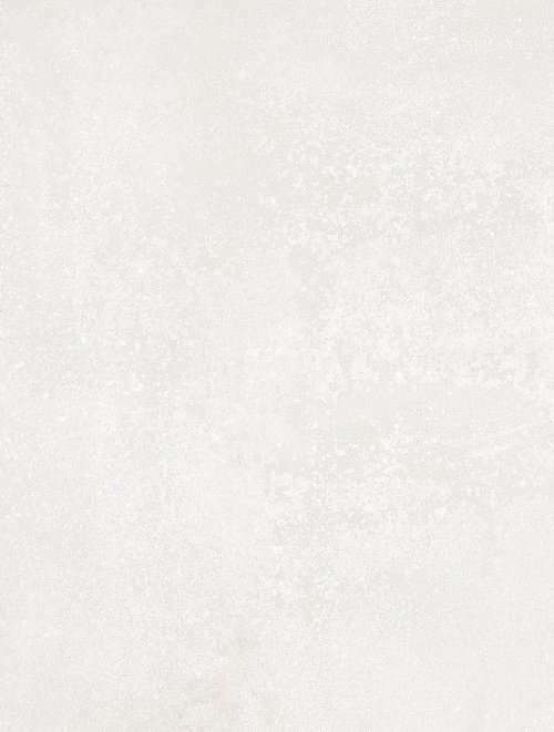 Neutra White