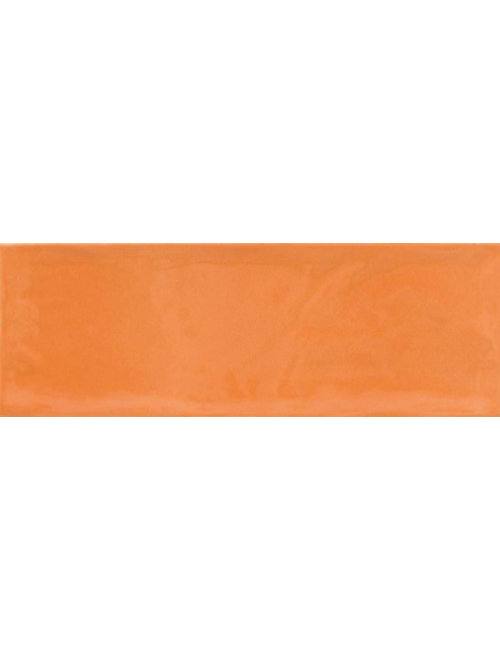 Royal 10x30,5