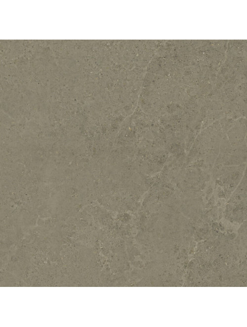 Norwich Taupe