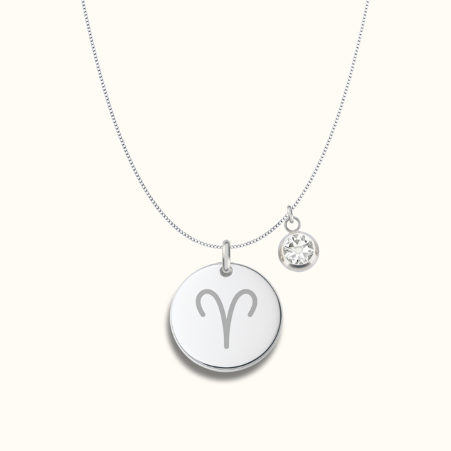 Coin ketting met zodiak teken en geboortesteen