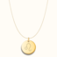Coin ketting met zodiak teken