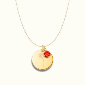 Coin ketting met geboortebloem en geboortesteen