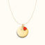 Coin ketting met geboortebloem en geboortesteen