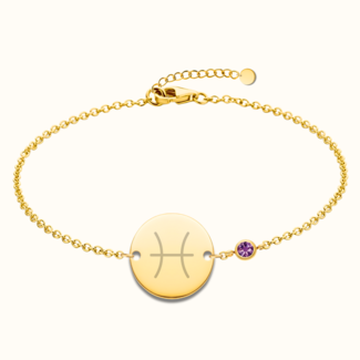 Coin armband met zodiak teken en geboortesteen