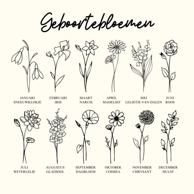 Coin ketting met geboortebloem en geboortesteen