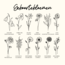Drie coin armband met geboortebloemen