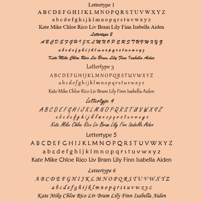 Coin ketting met klein vlinder bedeltje