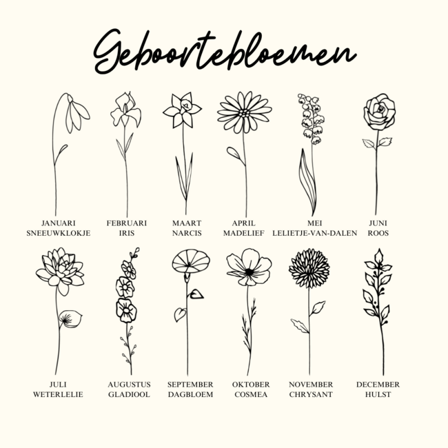 Kids | Mini coin armband met geboortebloem en geboortesteen