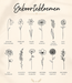 Kids | Coin armband met geboortebloem