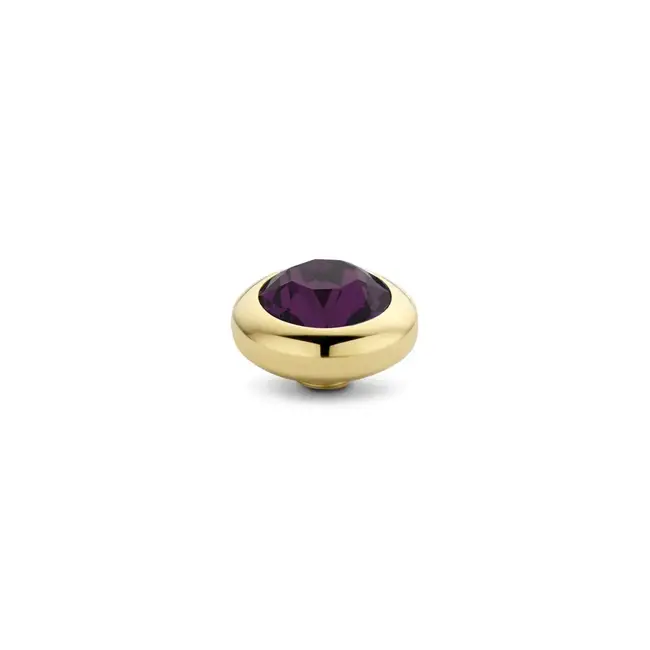 Melano Melano Vivid Basic CZ Steentje Goud Aubergine