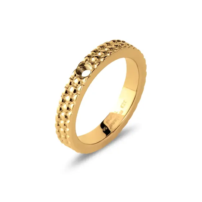 Melano Melano Twisted Ring Tola goud