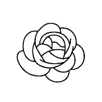 Rose & Camellia