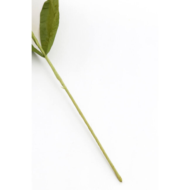 Bloem Halia Paper geel