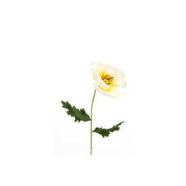 Bloem Cato Paper wit