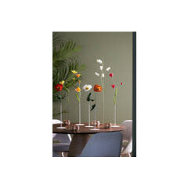 Bloem Cato Paper pink